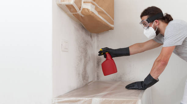 Professional Basement Mold Remediation technician working in Manchester, VA