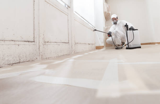 24/7 Emergency Basement Mold Remediation experts in Manchester, VA